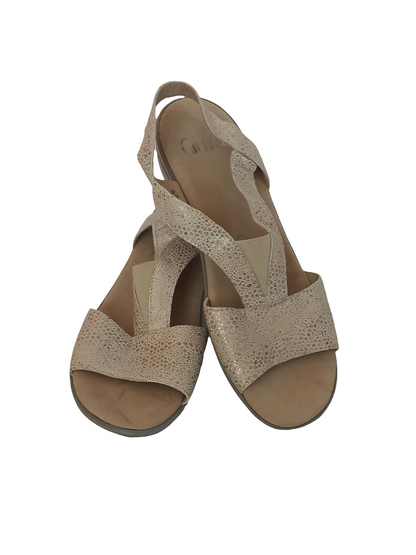 Sandale Caprice NEU! Gr. 38