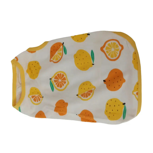 Hunde Shirt - Hunde Shirt Hunde Shirt - Vintage&Present Mode Hundebekleidung